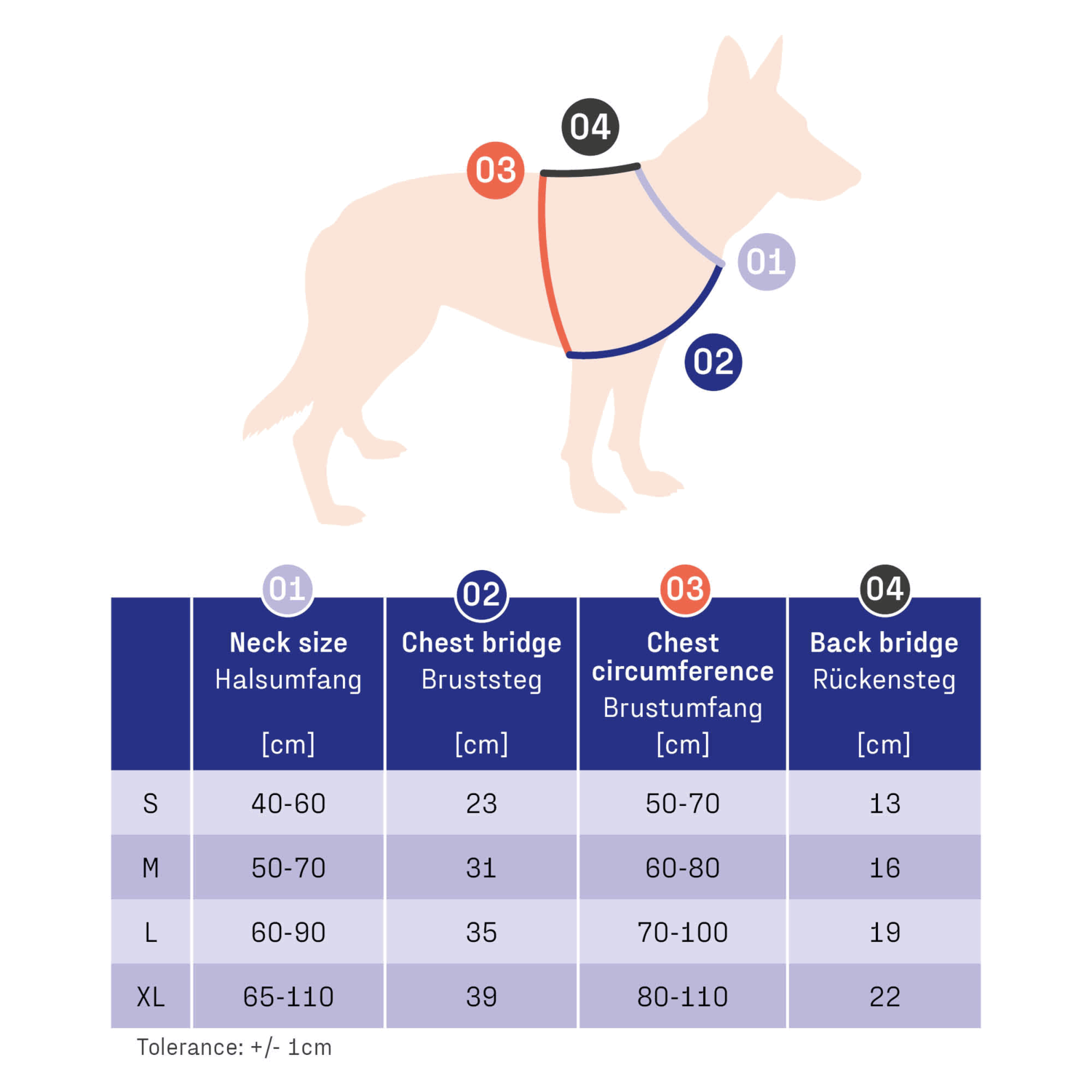 Hundegeschirr Y-Geschirr | Masstabelle.png | 1704464824