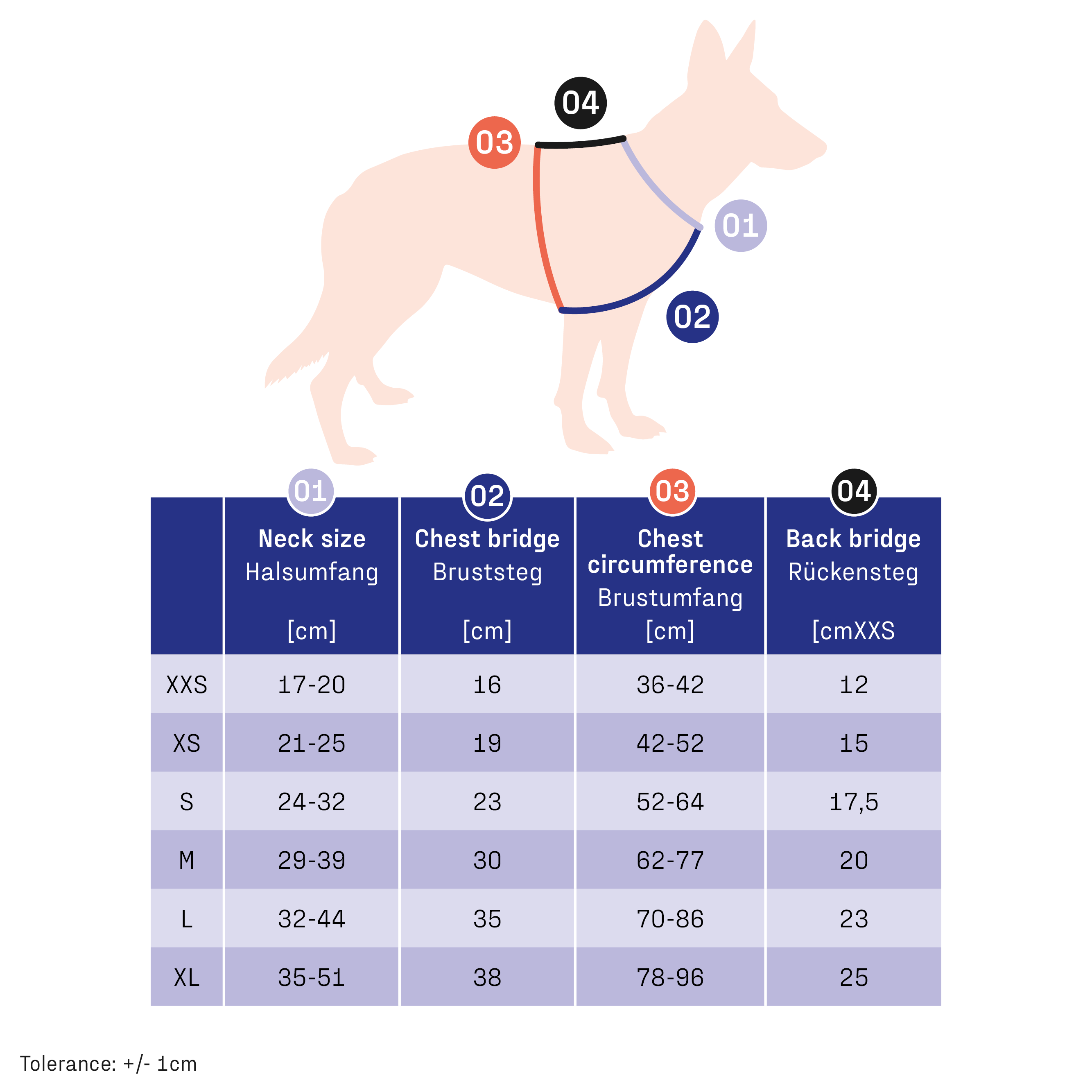 Hundegeschirr Y-Geschirr 2.0