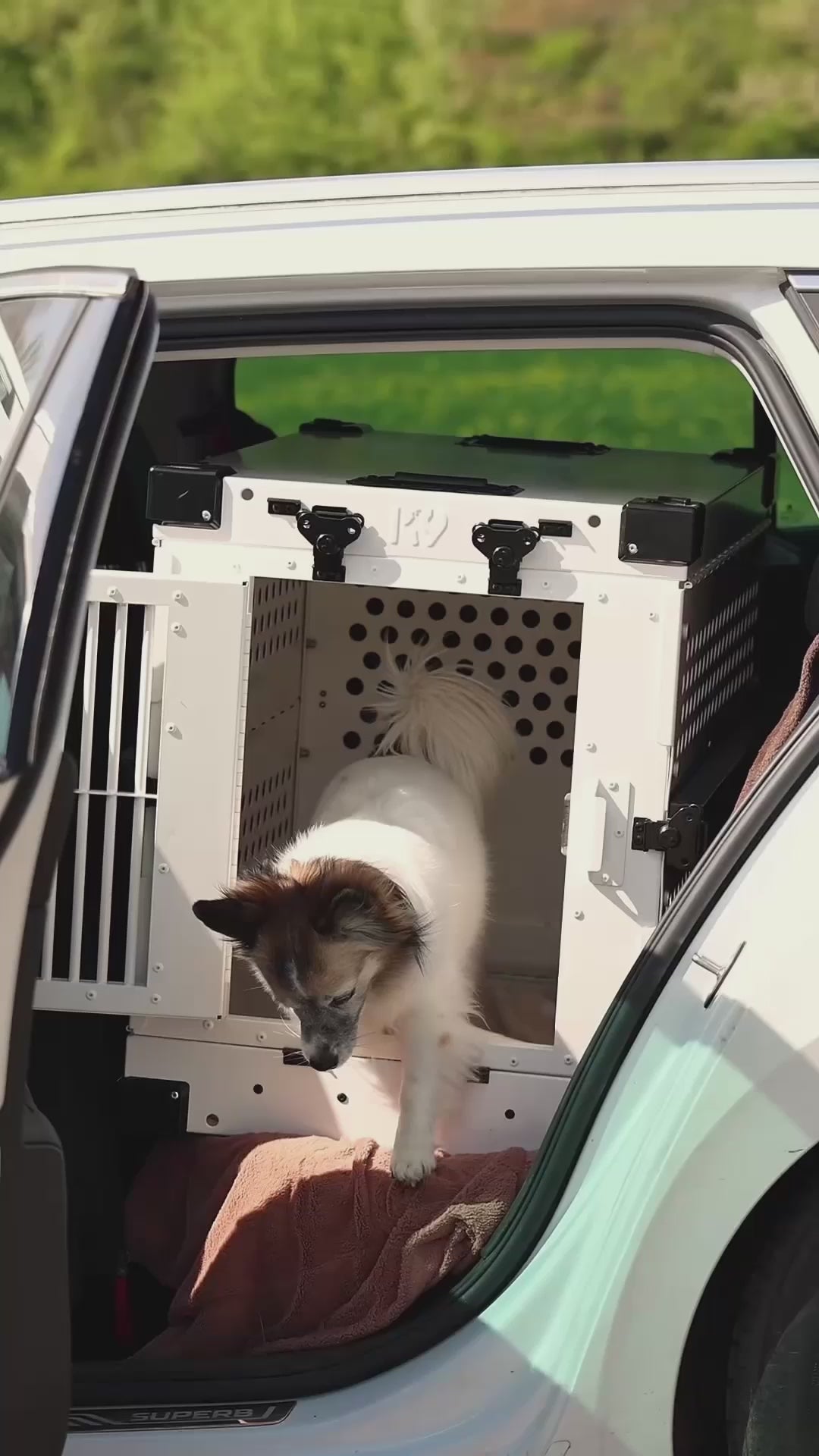 Produktvideo: K9 Kennel Boss Hundebox Aluminium – K9 Kennel Boss Box abbauen.mp4